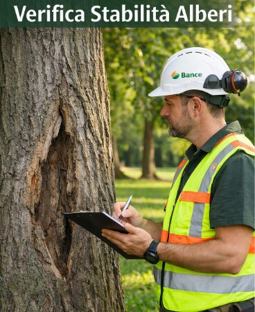 Verifica stabilita alberi a napoli